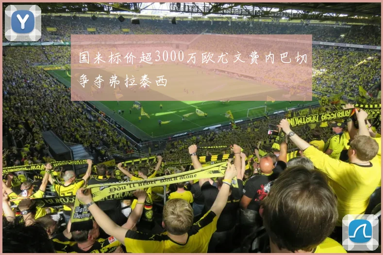 国米标价超3000万欧尤文费内巴切争夺弗拉泰西