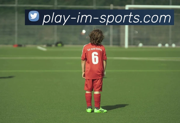 IM体育品牌故事