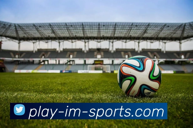 IM体育服务体系